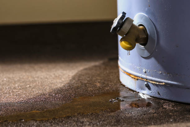 Water damage restoration mold remediation in ND