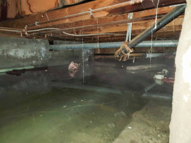 Best Local water damage restoration  in Burlington, ND