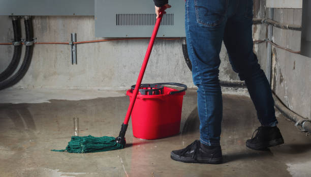 Best Water damage contractors near me  in Burlington, ND