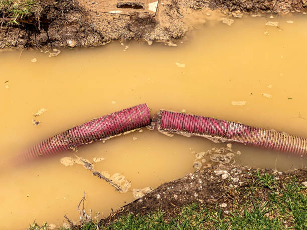 Best Mold removal after water damage  in Burlington, ND